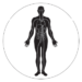 213-2133043_muscle-icon-png-exercise-enhances-immune-system-transparent-removebg-preview